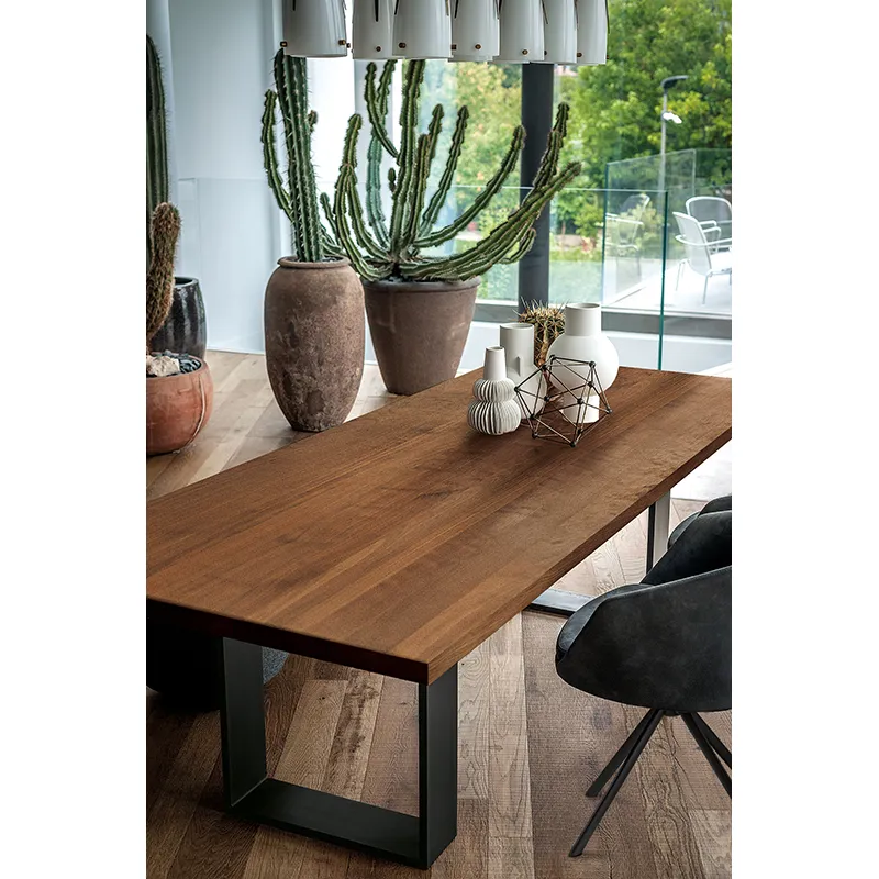 Dining Table     NEWTON NATURAL SIDES Noyer / noir           RIVA 1920