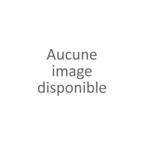 T-shirt message grande taille femme